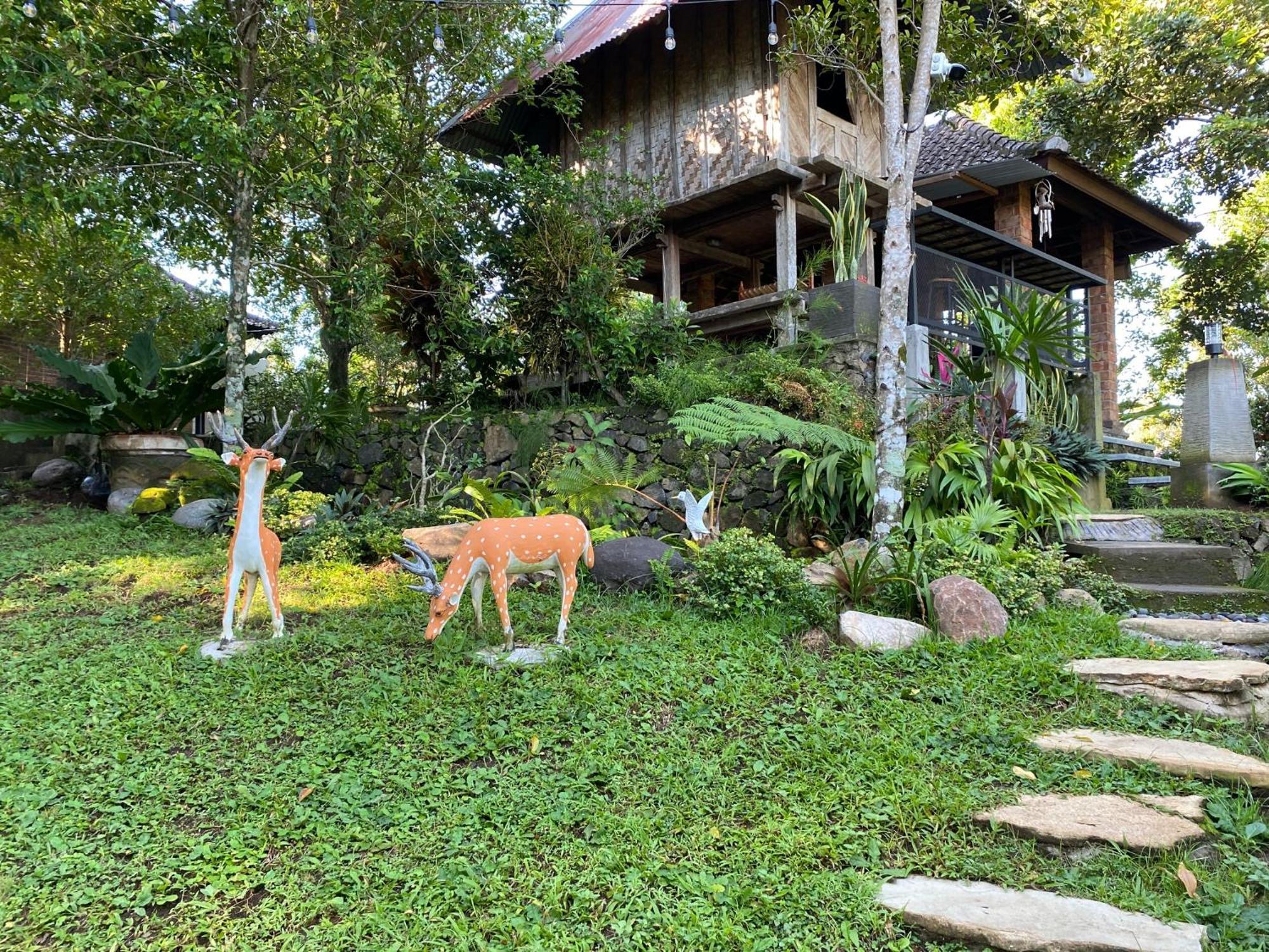 Mayong Bali Villa And Hostel 姆杜克 外观 照片